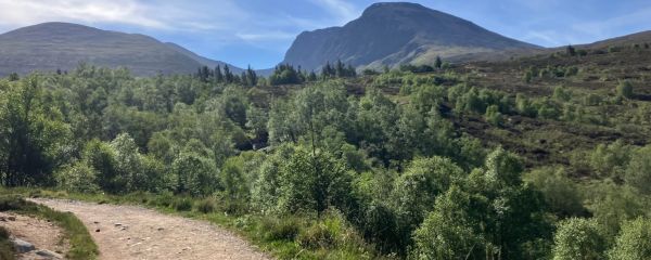 Photo of footpath through Scottish valley on a sunny day